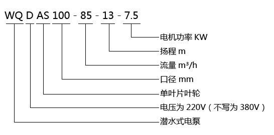 QWAS無堵塞切割排污泵型號(hào)意義